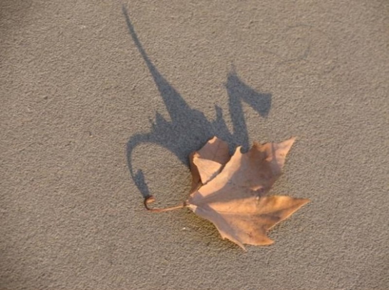 Vidite li i vi malog zmaja na ovoj sjeni?