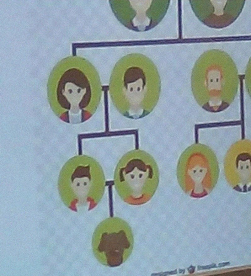 Ne, obiteljska stabla ne funkcioniraju ovako.