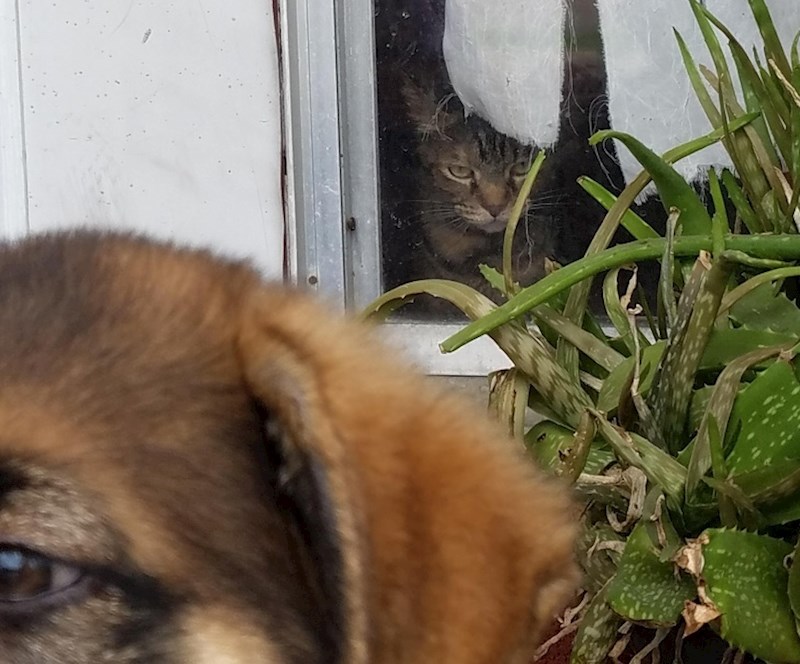 "Sve ok... Osvetit ću vam se."