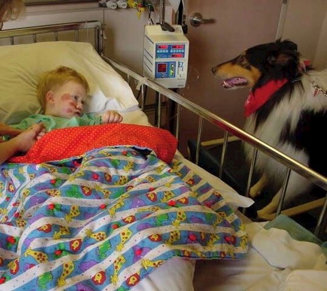 "Ovaj pas je dao sve od sebe da mi popravi raspoloženje kad sam kao dijete završio u bolnici."