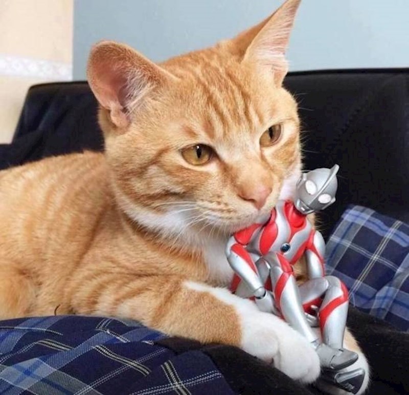 "Hej, lakše malo... Sramotiš me pred kamerom."