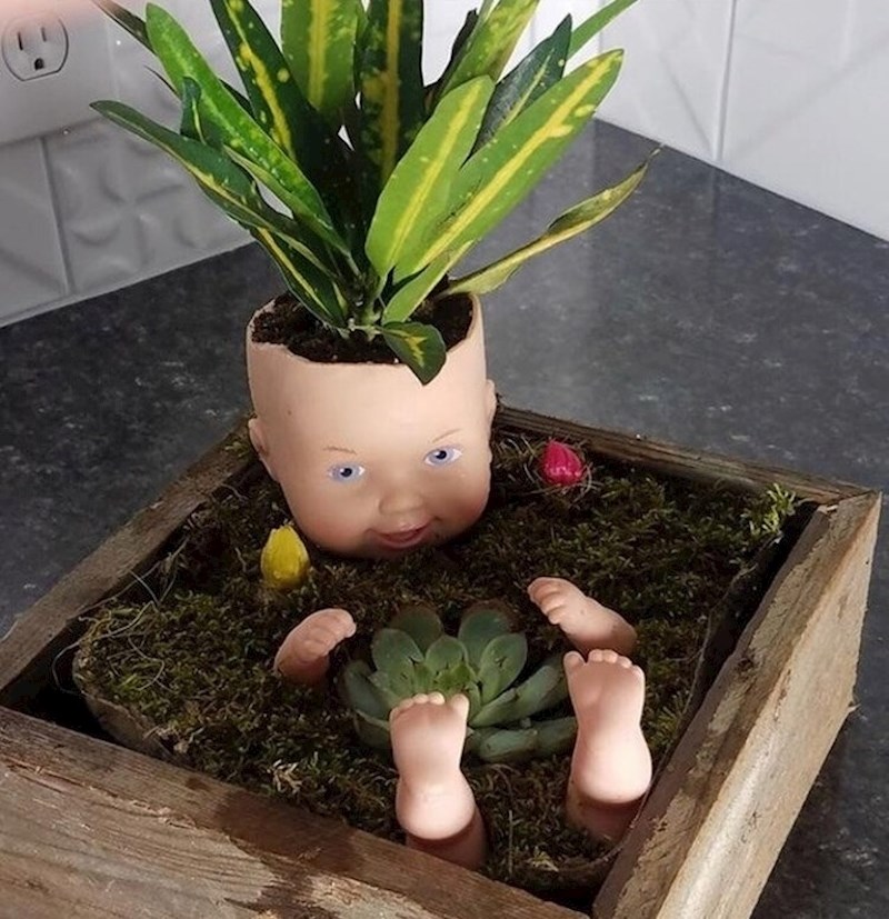 "Moja prijateljica je kupila čudan 'umjetnički rad'. Napravljen je od biljaka i lutke, a kombinacija izgleda malo uznemirujuće."