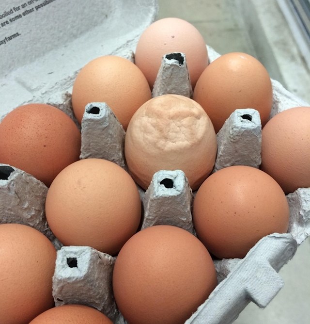 Jeste li ikad vidjeli ovakvo jaje?