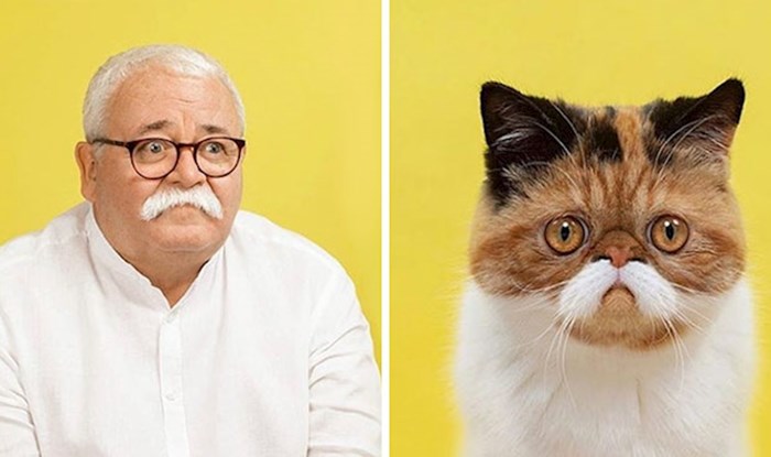 Fotograf slika mačke i ljude koji izgledaju kao da su dvojnici