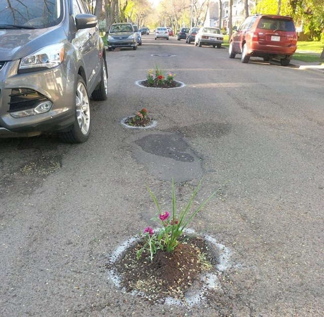 Netko je rupe na cesti popunio zemljom i cvijećem.