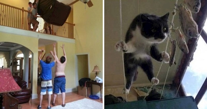 15 smiješnih slika koje dokazuju da ništa nije nemoguće kada vjerujete u sebe i svoje sposobnosti