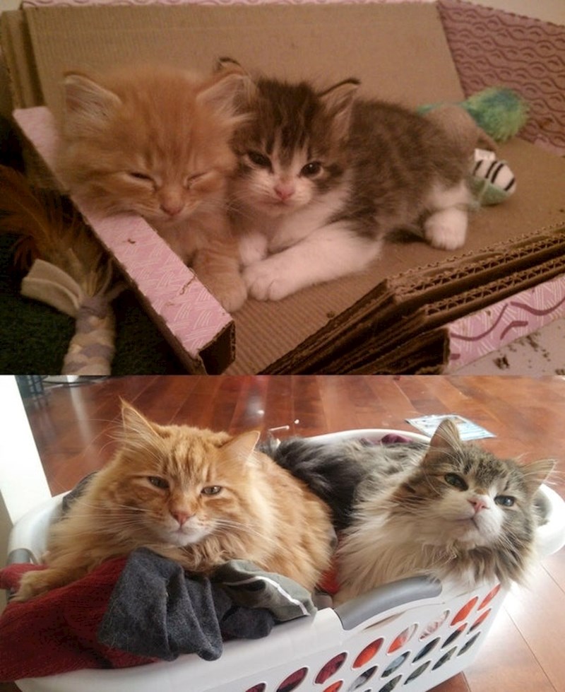 "Prošlo je 5 godina, još uvijek su najbolji prijatelji."