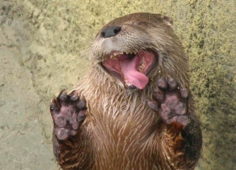 Svatko ima onog jednog prijatelja koji se voli glupirati na fotkama...