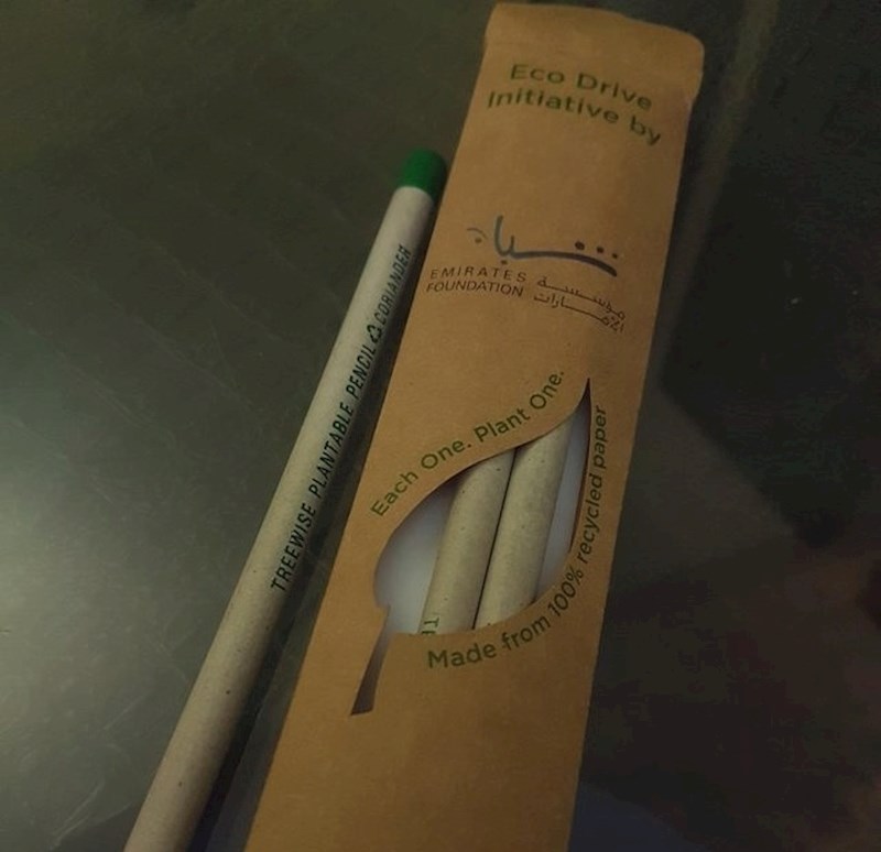 Ove olovke možete posaditi nakon što ih potrošite. Na vrhu je sjeme iz kojeg izrastu rajčice, korijander, papričice...