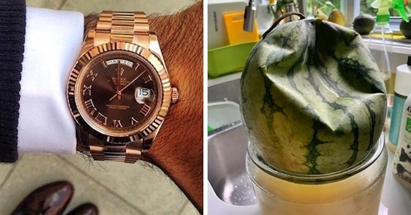 12 slika koje nam pokazuju da je svijet pun zanimljivih iznenađenja