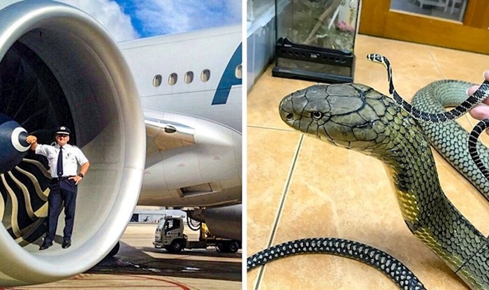 10 zanimljivih slika na kojima ćete vidjeti stvari koje se ne viđaju često