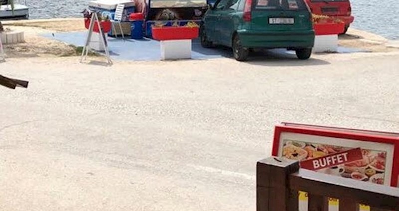 Dalmatinac je našao hlad i bezbrižno parkirao auto na potpuno neprimjerenom mjestu