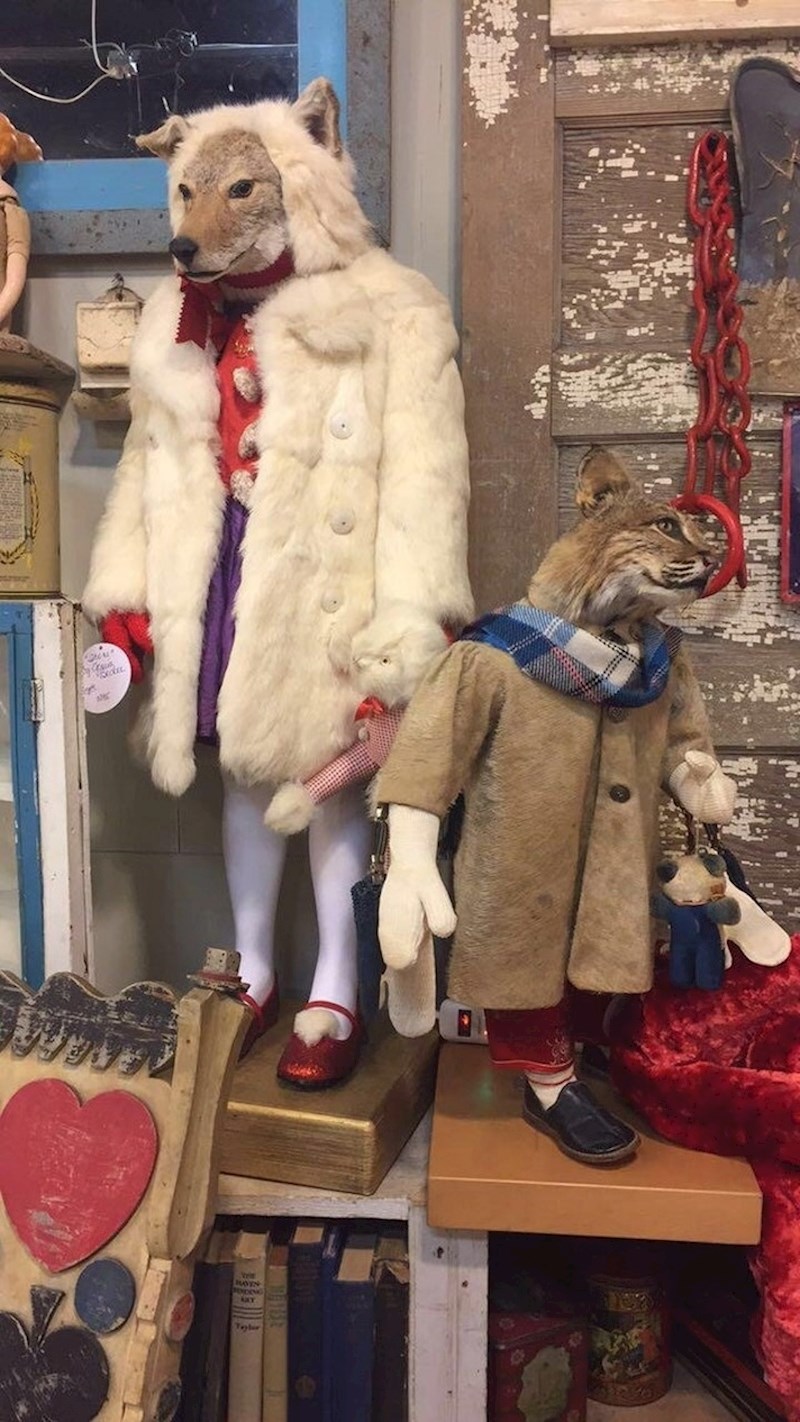 "Ove lutke izgledaju pomalo jezivo."