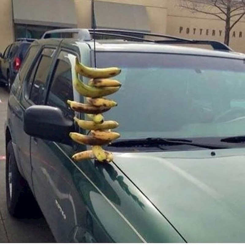 Što je htio ovime postići?