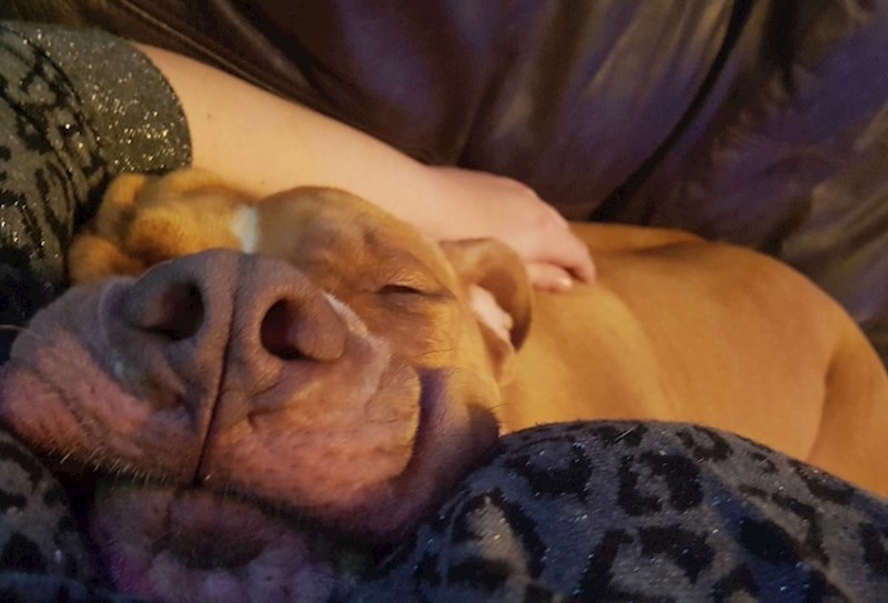 Slatki snovi s osmijehom na licu