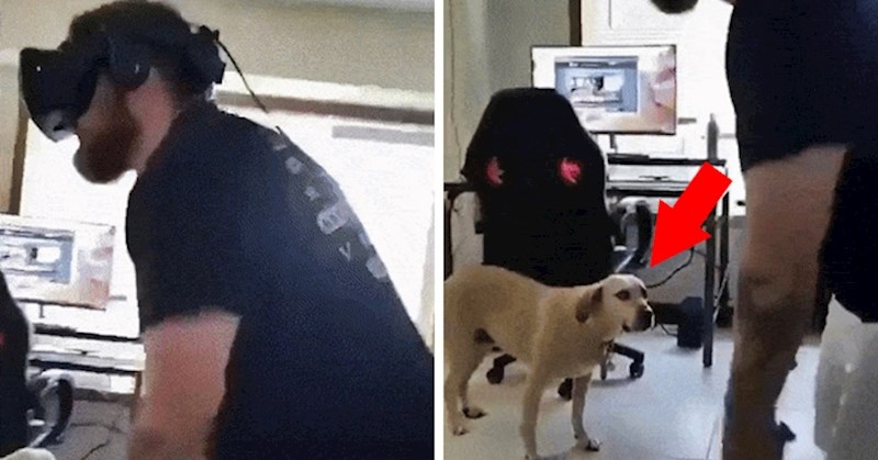 Pogledajte smiješnu reakciju psa koji je pomislio da mu je vlasnik skroz pukao