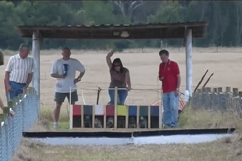 Ljudi su organizirali utrku pasa, jedan od njih je imao bolje planove