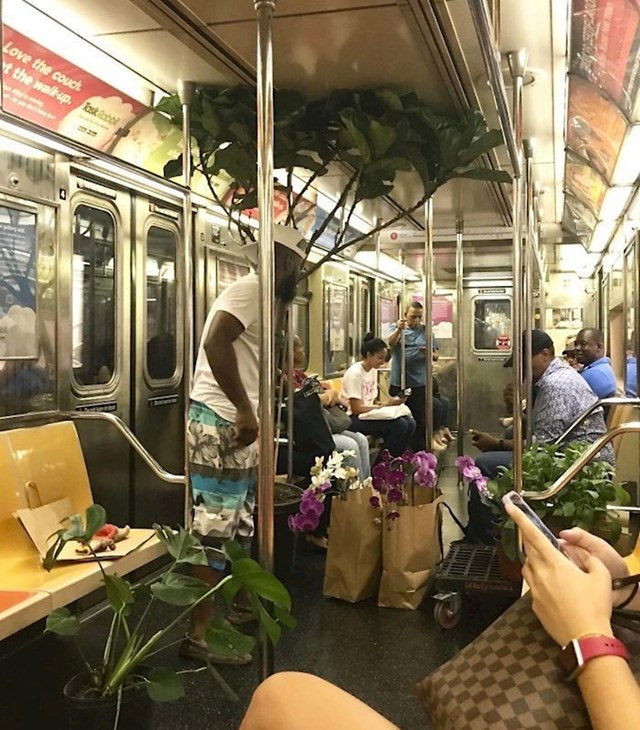 Netko je slikao lika koji je u metrou prodavao cvijeće i biljke. S jednom biljkom je ipak malo pretjerao. :)