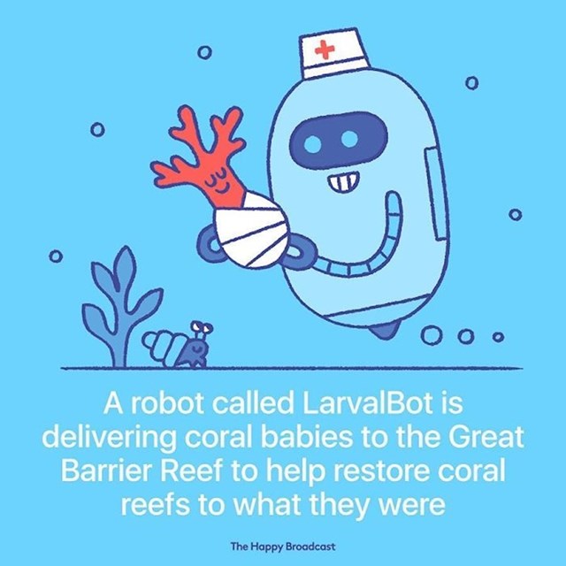 Robot LarvalBot Velikom koraljnom grebenu dostavlja "bebe koralja" kako bi se greben što prije oporavio.