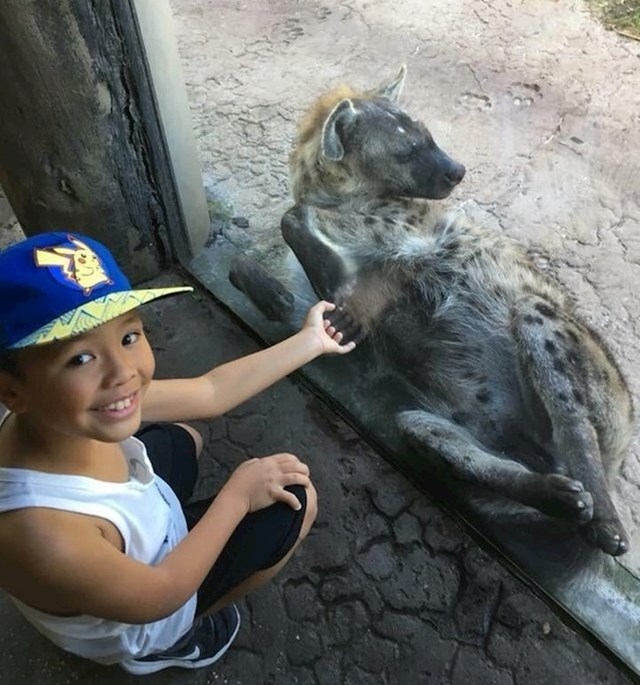 "Na trenutak sam mislila da se hijena rukuje s mojim unukom."