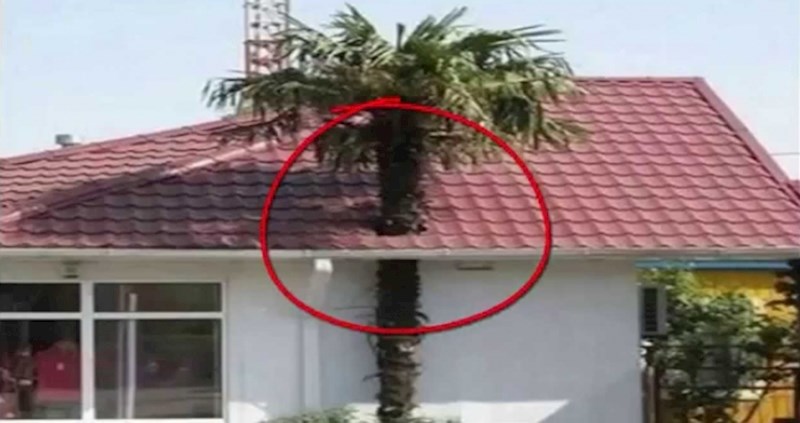 Ako ikad budete tražili majstore da vam grade kuću, pazite da ne naletite na ovakve likove