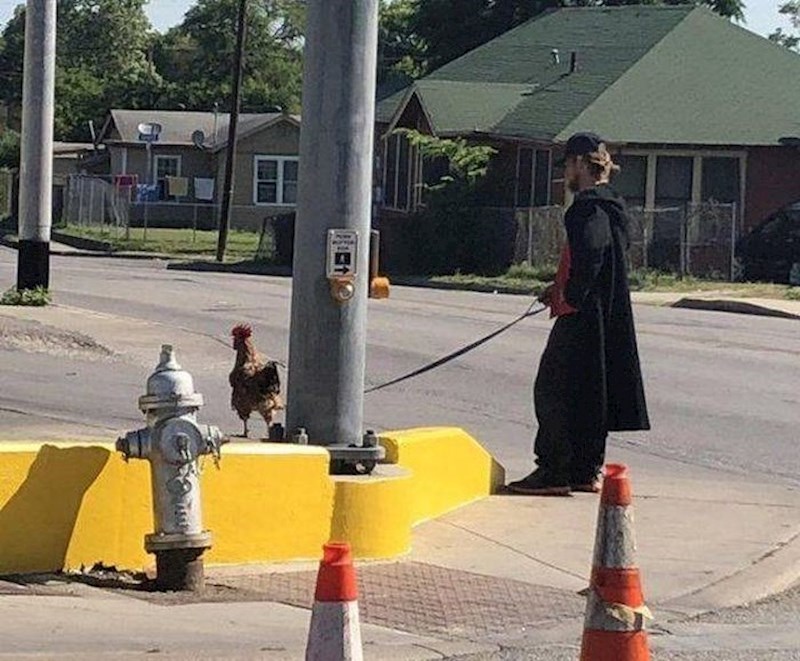 Ovaj čovjek ima neobičnog kućnog ljubimca.