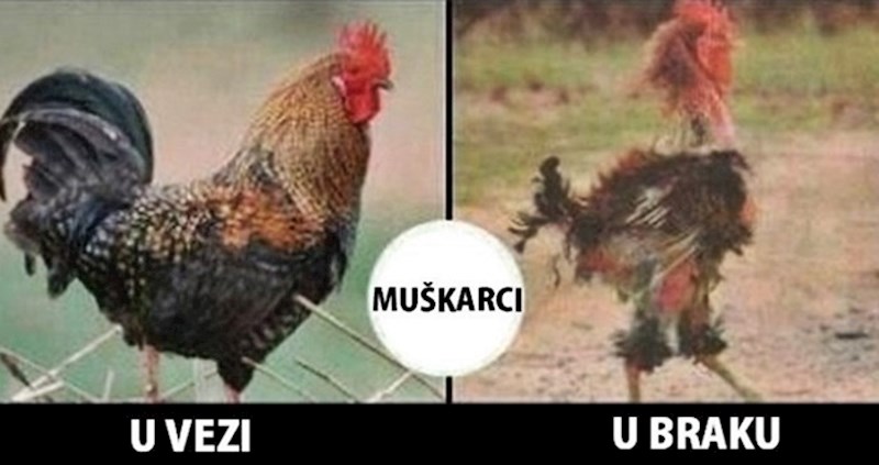 Smiješne slike koje otkrivaju što se zapravo dogodi nakon što uđete u brak