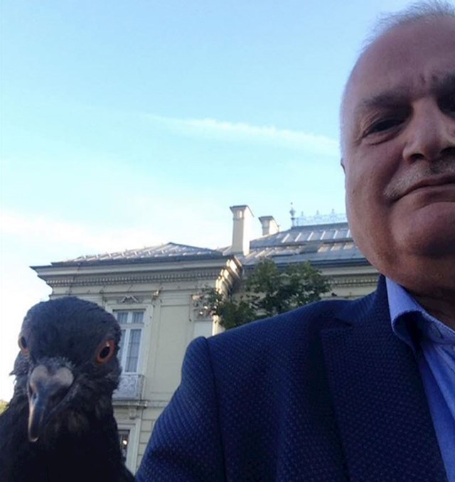"Tata je slikao selfie s golubom, evo što mi je poslao."