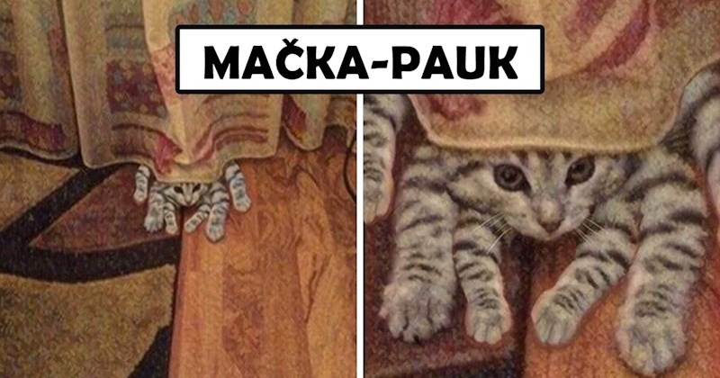 16 slika koje dokazuju da mačke nikad neće prestati nasmijavati svoje ljude