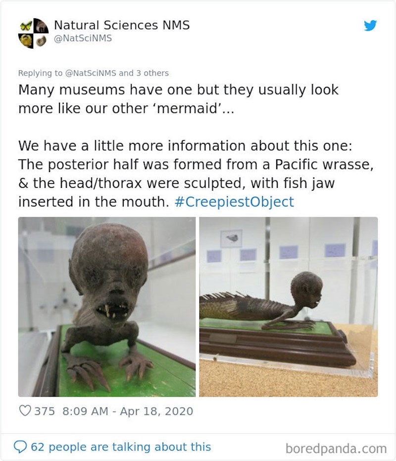 Jedan muzej prirodnih znanosti objavio je sliku jezive "sirene". Stražnji dio je zapravo dio tijela pacifičke usnače, a prednji dio je izrađen kao skulptura. Zubi su također riblji.