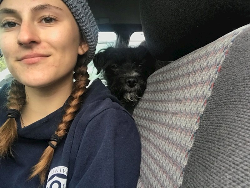 "U subotu sam dala otkaz, u nedjelju me ostavio dečko, u ponedjeljak sam prošla ispit, u utorak sam dobila posao, u srijedu otplatila svoje dugove i provela dan na plaži sa svojim psima. Bio je ovo dobar tjedan."