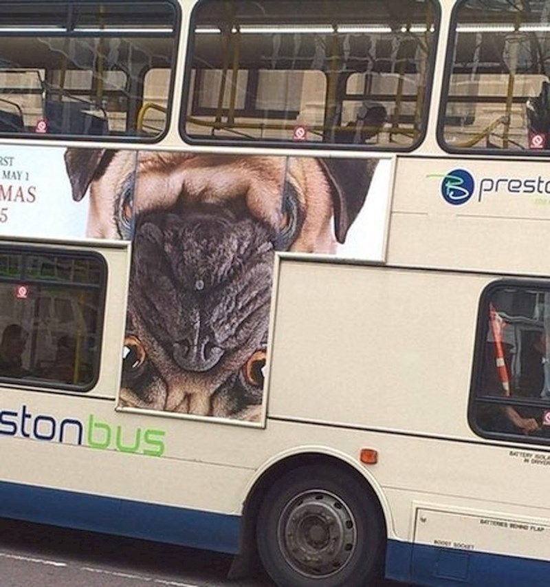 Netko je naopako postavio reklamu na autobusu. Vjerojatno je primijetio da nešto nije u redu, no nije imao volje popravljati ono što je zabrljao.