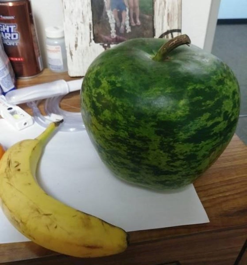 Je li ovo lubenica koja izgleda kao jabuka ili jabuka koja izgleda kao lubenica?