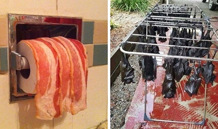 Ljudi su podijelili bizarne slike stvari koje najradije ne bi dodirnuli ni štapom