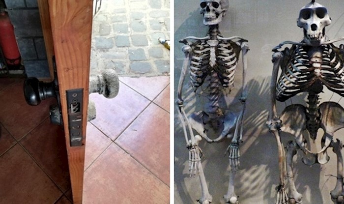 15 zanimljivih usporedbi koje bi vas mogle itekako začuditi