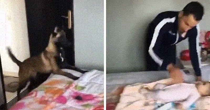 Muškarac je glumio da tuče bebu, pogledajte kako je njegov pas na to reagirao