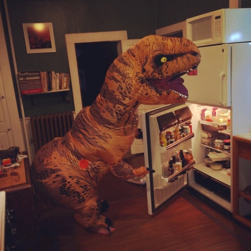 Dosadila joj je obična odjeća.