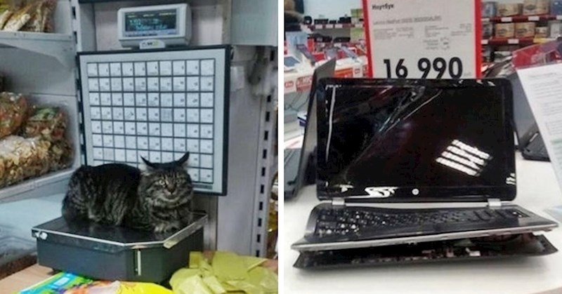 KAOS U DUĆANIMA 20 kaotičnih prizora koje su ljudi slikali tijekom shoppinga