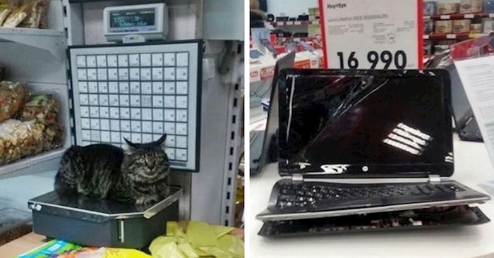 KAOS U DUĆANIMA 20 kaotičnih prizora koje su ljudi slikali tijekom shoppinga