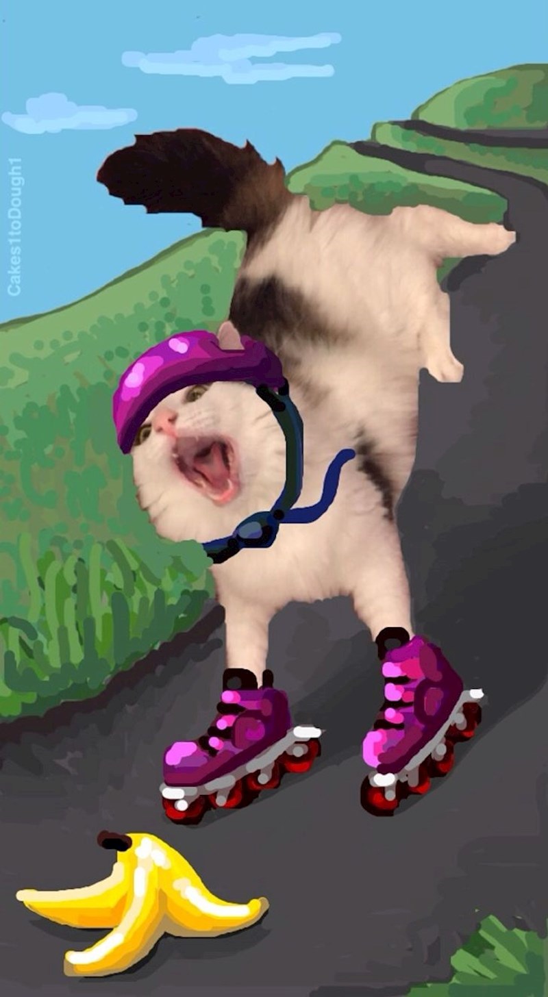 "Volim crtati preko fotografija svojih mačaka."