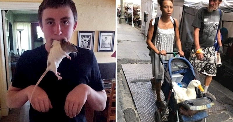 ČUDACI NA KVADRAT Kad vidite ove slike, zapitat ćete se što se to događa s današnjim svijetom