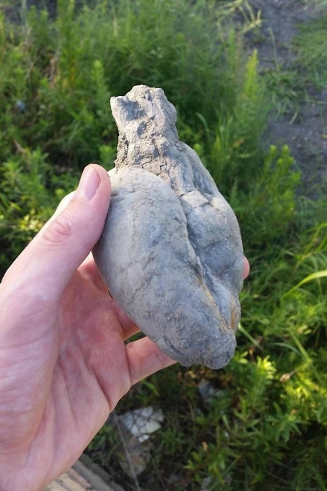 Kamen koji izgleda kao ljudsko srce
