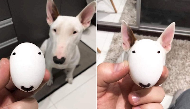 Ono kad vam je vlasnik umjetnik...