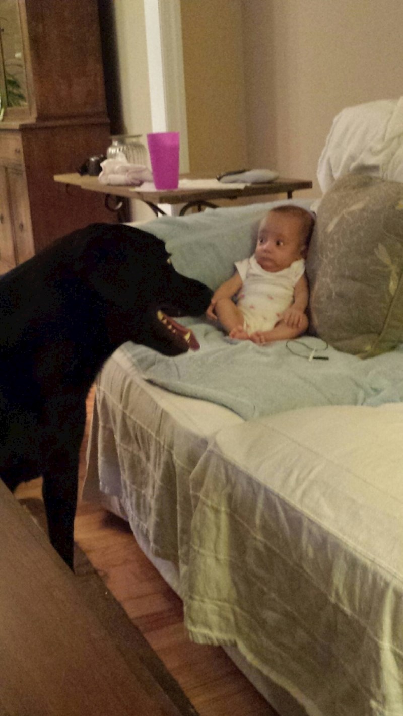 "Moja sestrica je prvi put vidjela našeg psa."