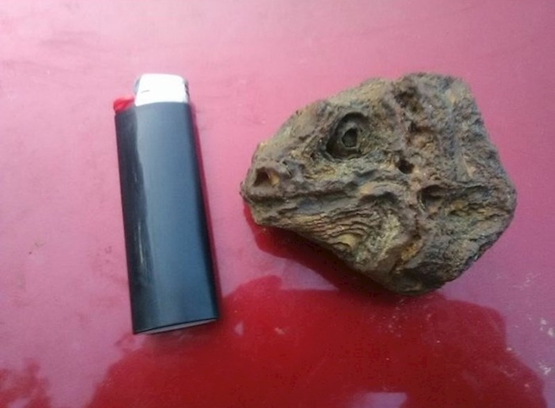 Kamen koji izgleda kao glava guštera...