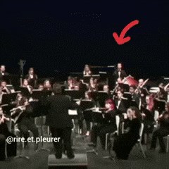 Na koncertu filharmonije se dogodila nezgoda koja će vas nasmijati ako ste zla osoba