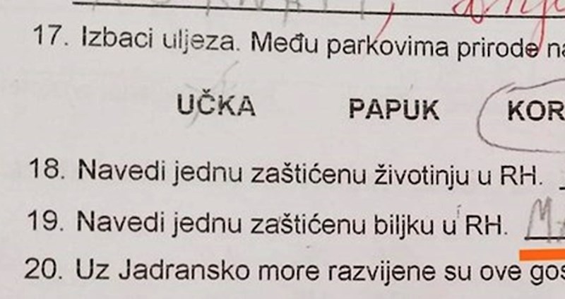 Dijete je u testu moralo navesti jednu zaštićenu biljku, odgovor je iznenadio učiteljicu