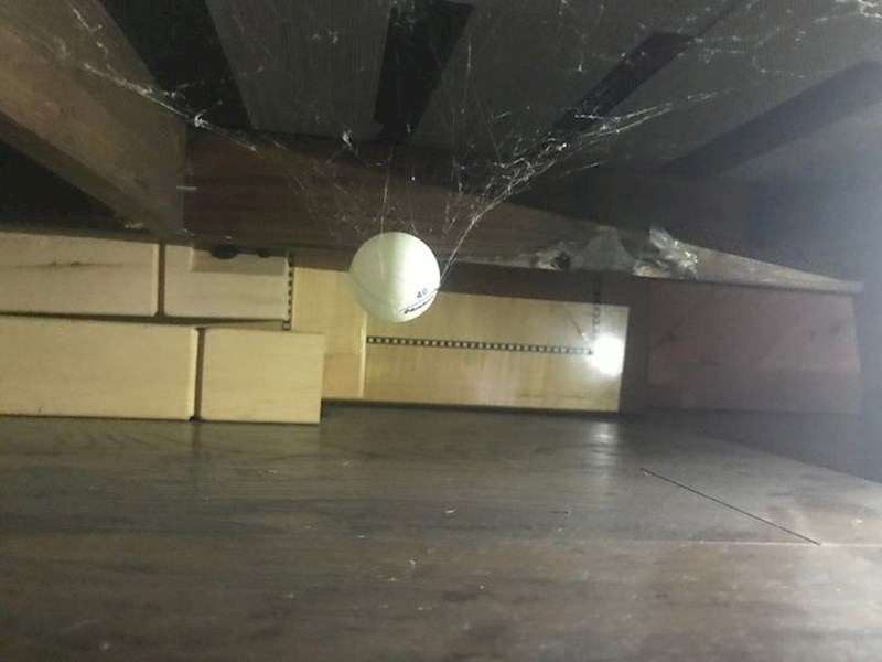 "Ispod kreveta sam našao lopticu za stolni tenis koju je držala paučina!"