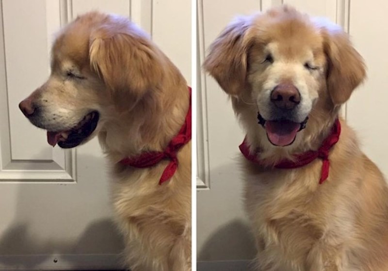 "Nikad sebe nije vidio u ogledalu pa smo mu 20 puta dnevno govorili da je lijep."