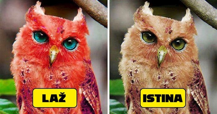 7 poznatih fotografija s interneta za koje je kasnije dokazano da su lažne